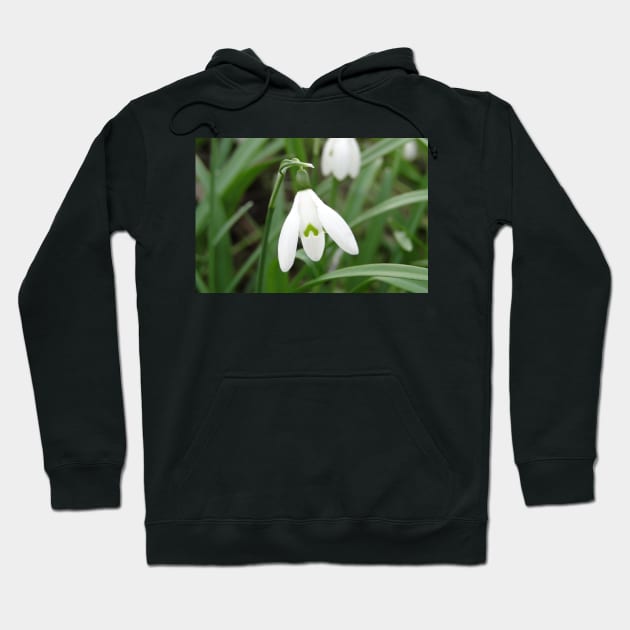 The March Snowdrop Hoodie by AH64D